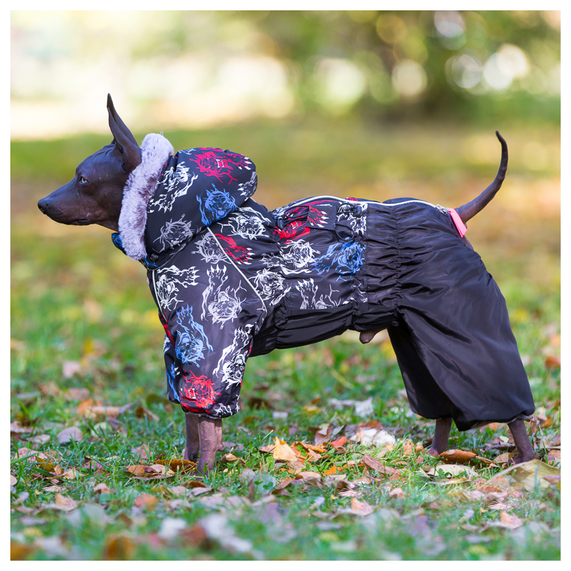Комбинезон for my dogs. FORMYDOGS комбинезон для добермана. FORMYDOGS комбинезон мальчик серо/желтый 20 fw850-2020м. For my Dogs комбинезон для собак fw638-2018m. Комбенизон " FORMYDOGS " арт.1300.