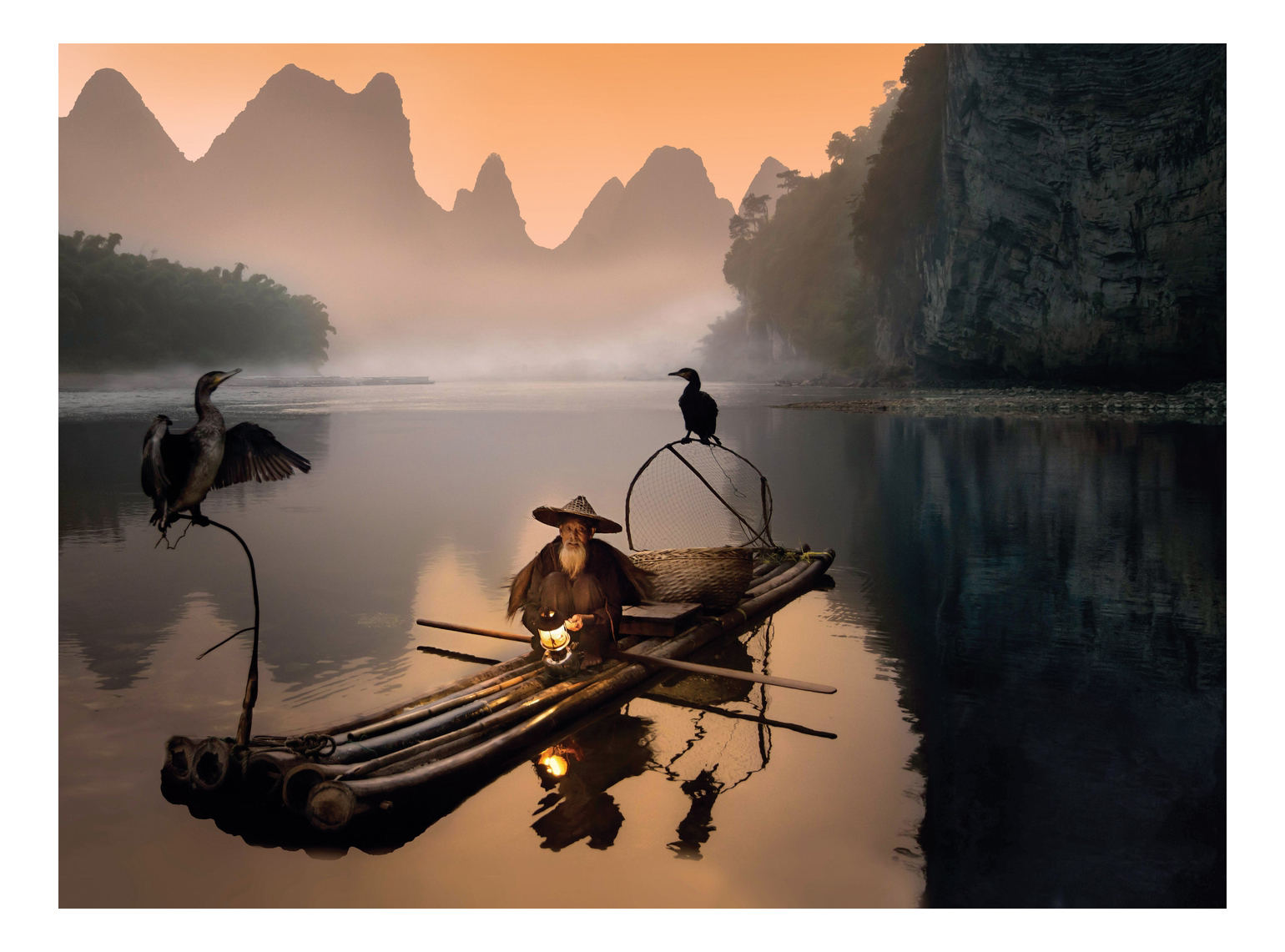 Кот плывущий по реке