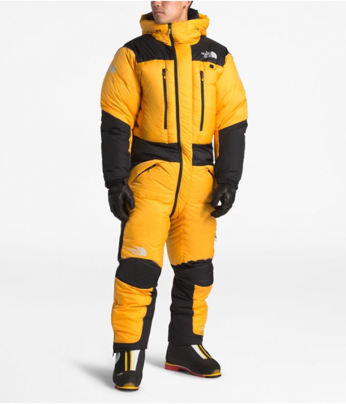 Р—РёРјРЅРёР№ РїРѕР»СѓРєРѕРјР±РёРЅРµР·РѕРЅ the North face