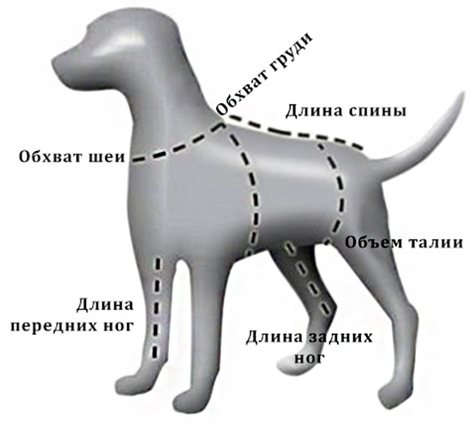 Жилет для собак OSSO Fashion Аляска, унисекс, графит, длина спины 40-1