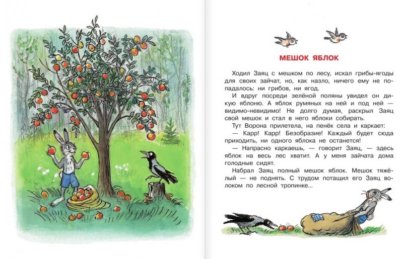 Сутеев 2 класс. Владимир Сутеев — яблоко: сказка. Сказка Сутеева яблоко текст. Сказки Сутеева текст. Сутеев сказочные истории для малышей.