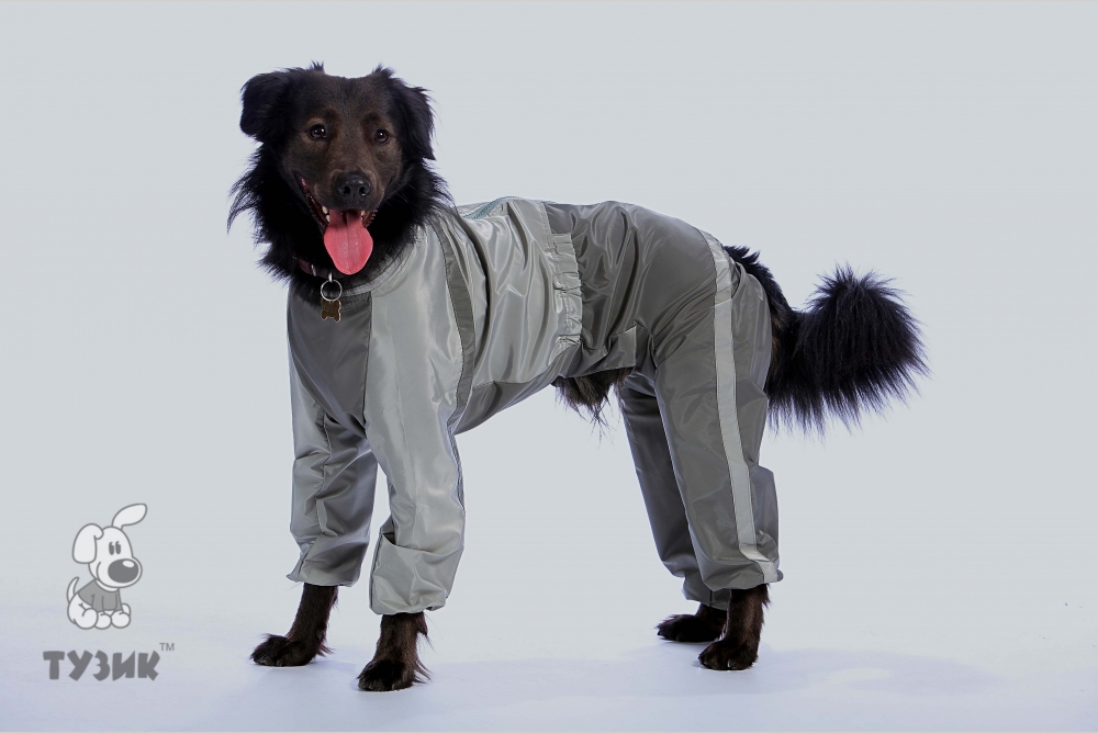Комбинезон для собак ТУЗИК Пекинес, мужской, в ассортименте, длина спины 40 см