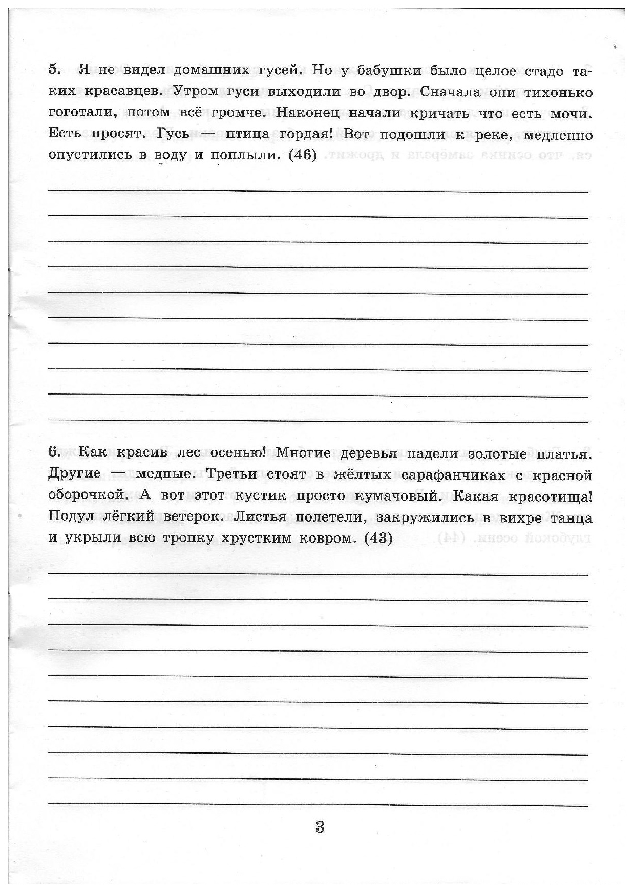 Кузнецова. 5000. тренировочные примеры по Русскому Языку 3Кл. контрольное  Списывание - купить справочника и сборника задач в интернет-магазинах, цены  на Мегамаркет |