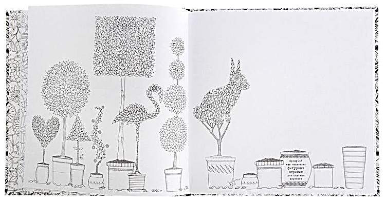 Таинственный сад. Книга для творчества и вдохновения . Джоанна Бэсфорд