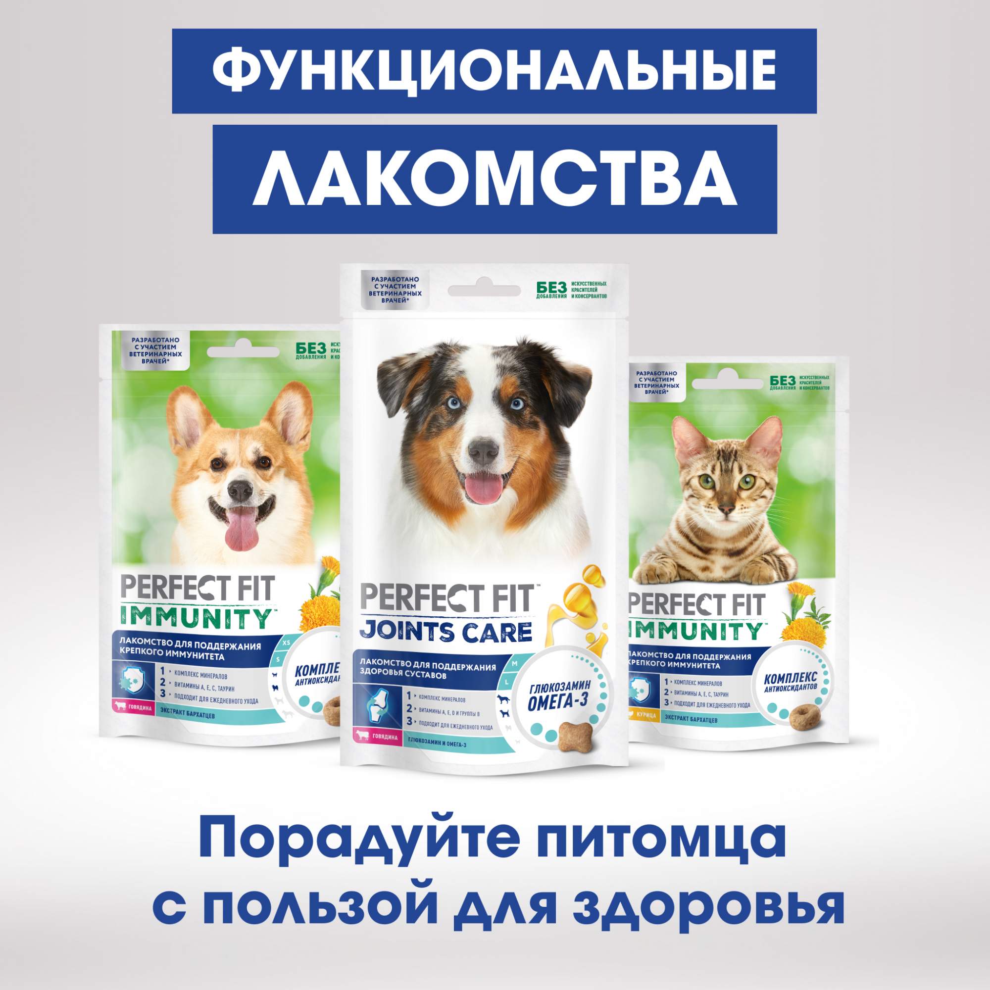 Perfect fit immunity для кошек