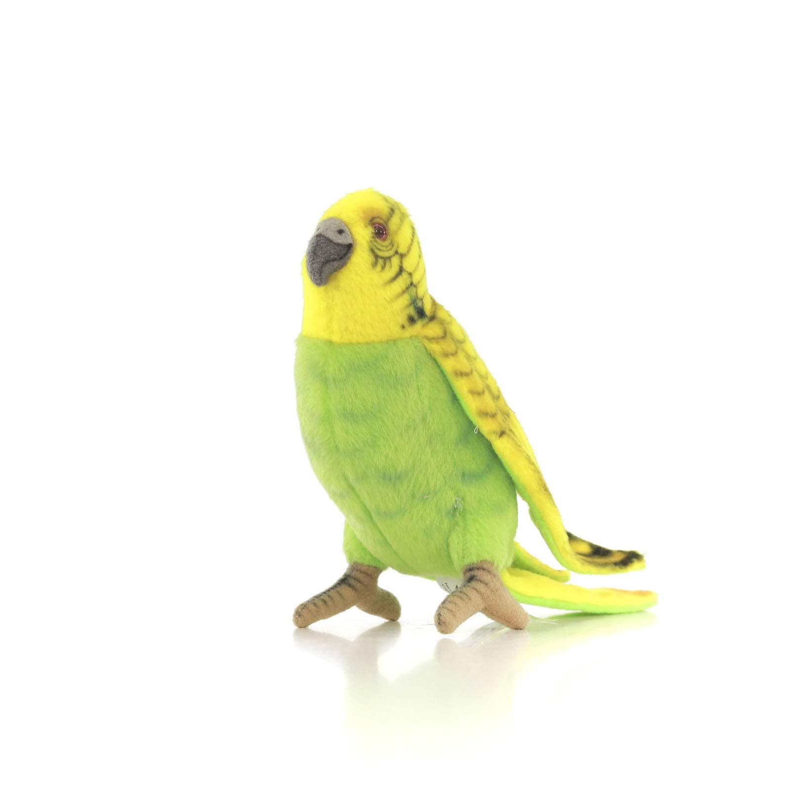 Что следует учесть, выбирая имена для попугаев
