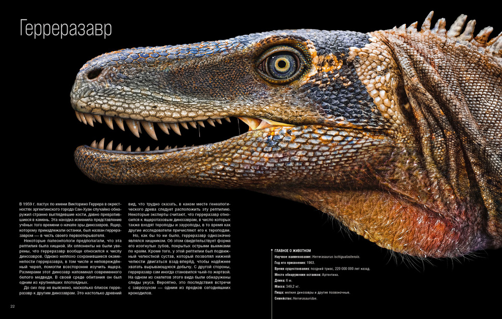 Райли блэк динозавры. Книжки про динозавров. Райли блэк динозавры. Райли блэк динозавры. Райли блэк динозавры.