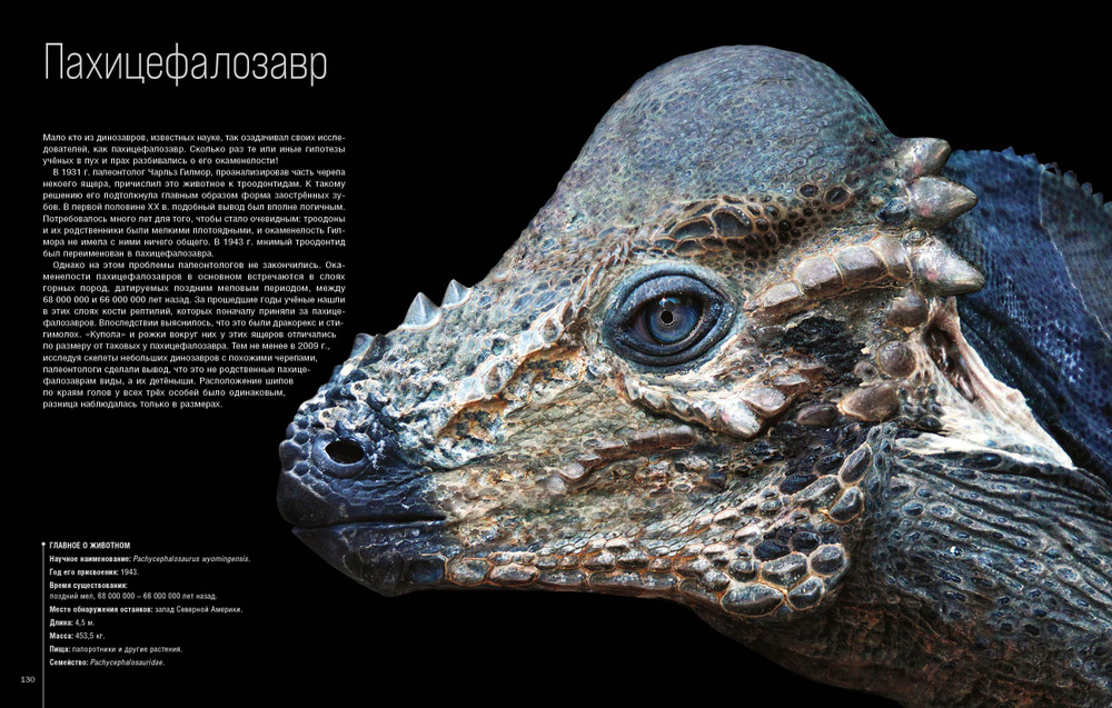 Динозавроведение книга. Динозавр в профиль. Райли блэк динозавры. Райли блэк динозавры. Райли блэк динозавры.