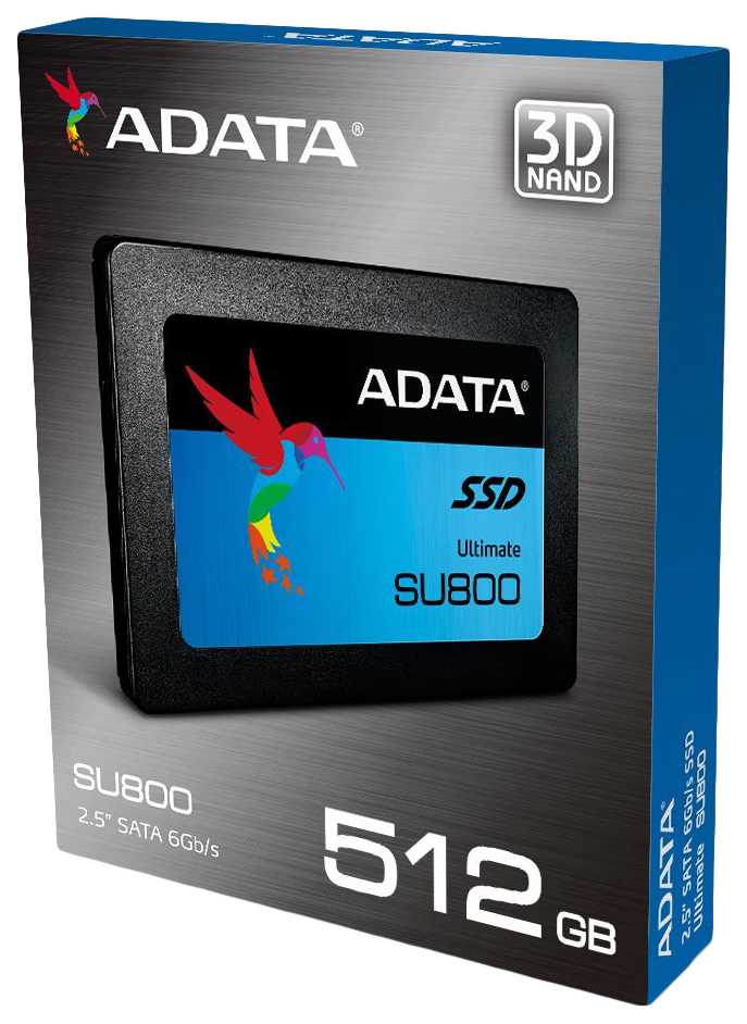 Adata su800 2025