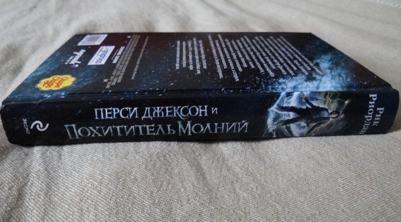 Перси джексон и похититель молний книга. Перси Джексон и похититель молний книга обложка. Перси Джексон и похититель молний книга картинки. Перси Джексон и похититель молний читать.