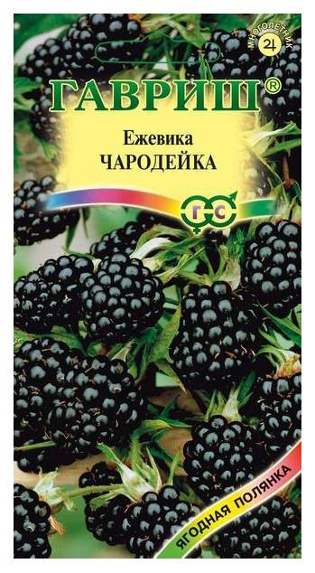 Семена ежевика Гавриш Чародейка 111599 1 уп. - купить в Мегамаркет Воронеж, цена на Мегамаркет