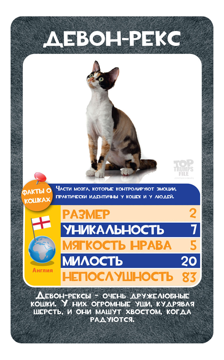 Купить семейная настольная игра TOP TRUMPS Кто тут самая непослушная? -  Кошки, цены на Мегамаркет | Артикул: 100002125332