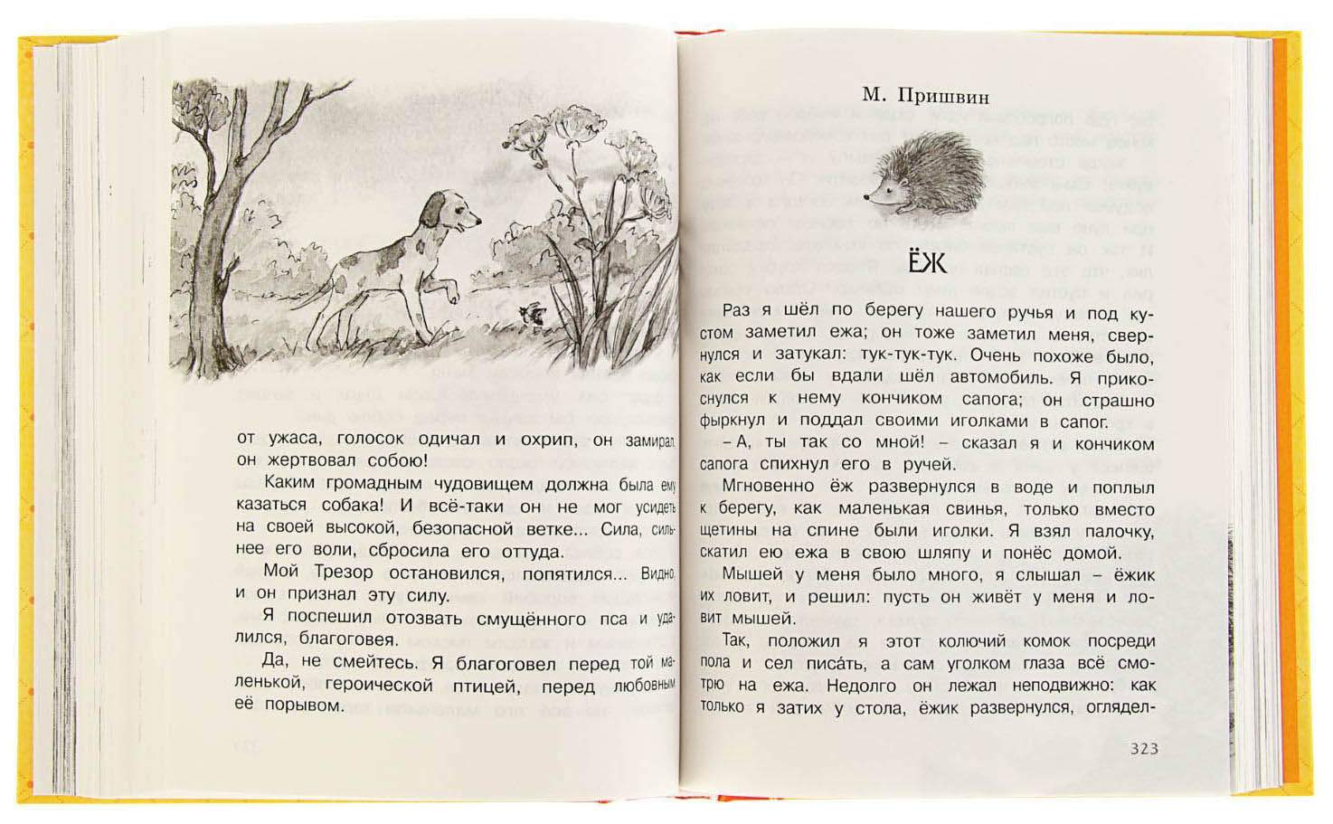 Содержание пришвин еж. Шёл я по берегу ручья и под кустом заметил ежа. Пришвин еж. Шел я по берегу ручья и увидел под кустом. Шел я по берегу ручья и увидел под кустом ежа придумать продолжение.