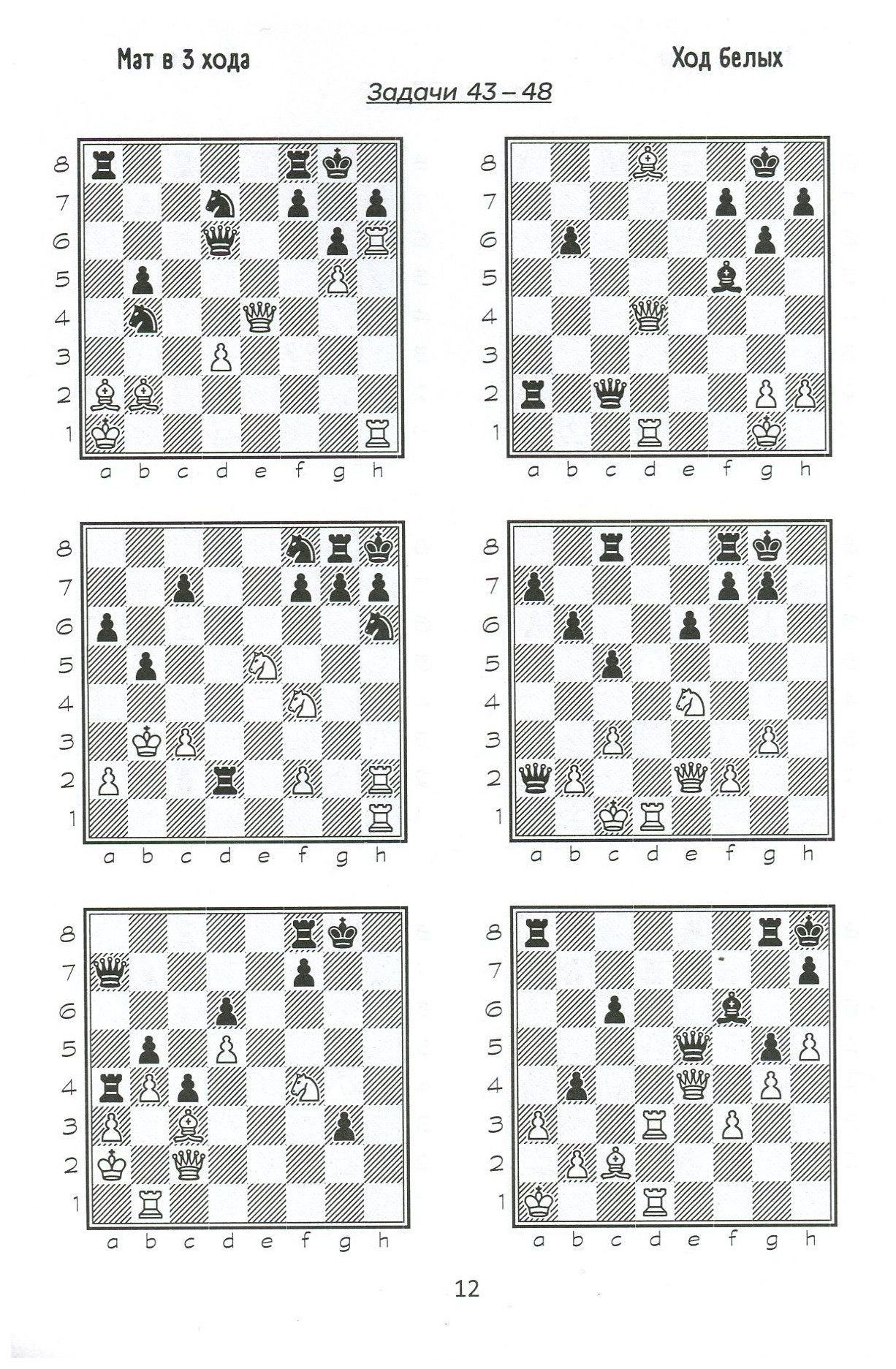 1000 + задач по шахматам. Профи
