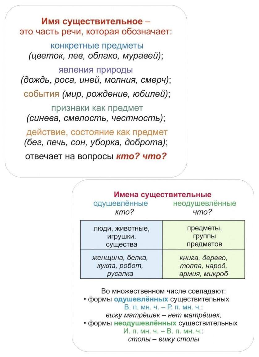 Главные правила. Русский язык. Имя существительное - купить в Москве, цены  на Мегамаркет | 100025986134