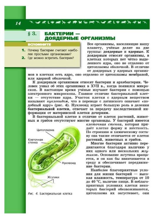 Бактерии доядерные организмы 7 класс презентация пасечник линия жизни