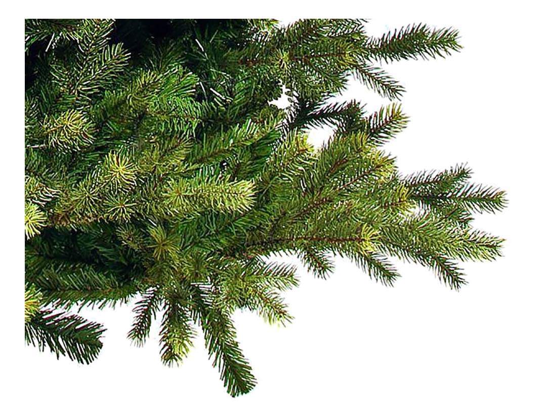 Ель колючая 'koster'. 64. Быстрая сортировка джава. Линия сортировки пиловочника as hekotek (эстония). Сортировка ели.