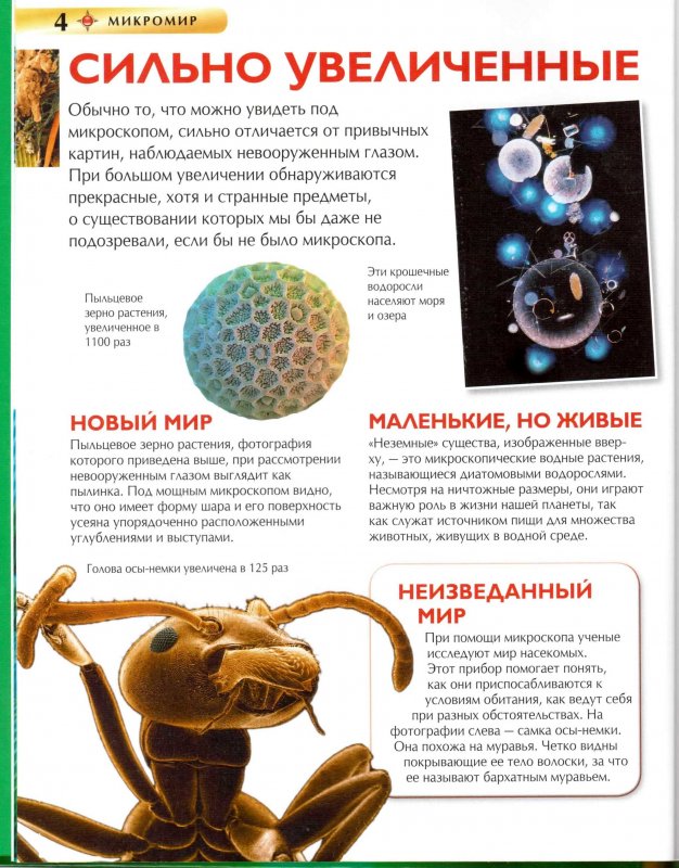 По следам открытий в микромире проект