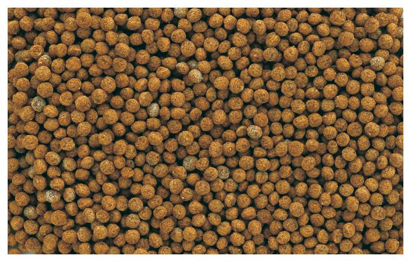 Корм для золотых рыбок Tetra Goldfish Gold Exotic, шарики, 250 мл