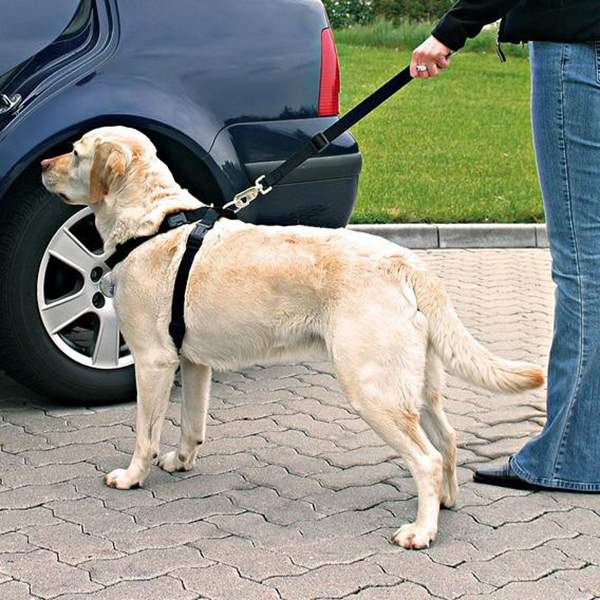Ремень безопасности для собак TRIXIE, автомобильный, обхват живота/груди: 70-90 см, L