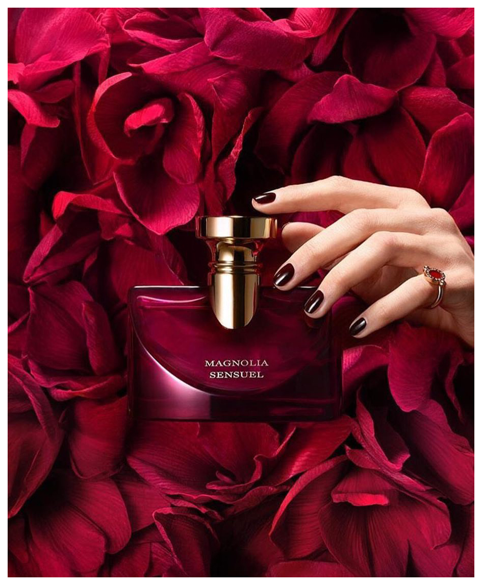 Bvlgari splendida 2025 magnolia price