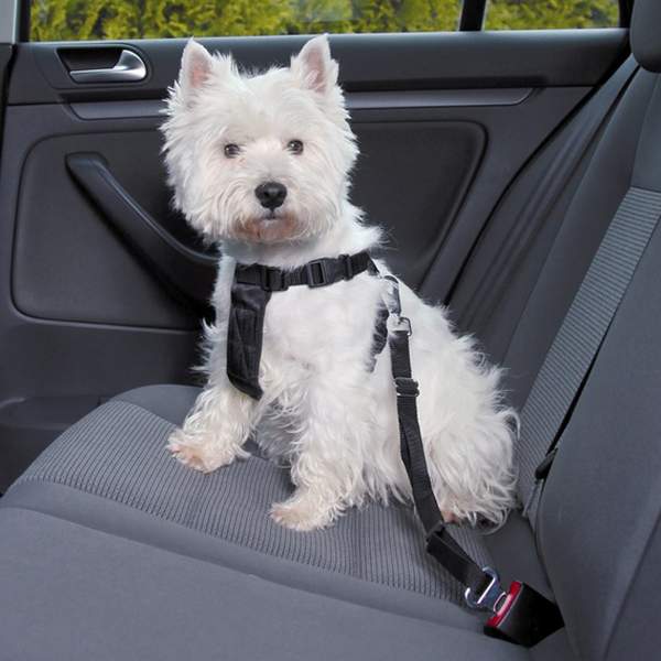 Ремень безопасности для собак TRIXIE, автомобильный, обхват живота/груди: 70-90 см, L