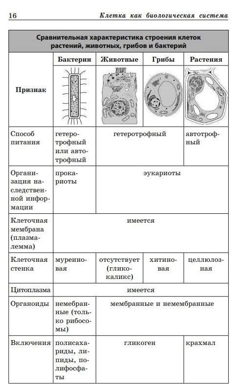 Биология в таблицах и схемах книга