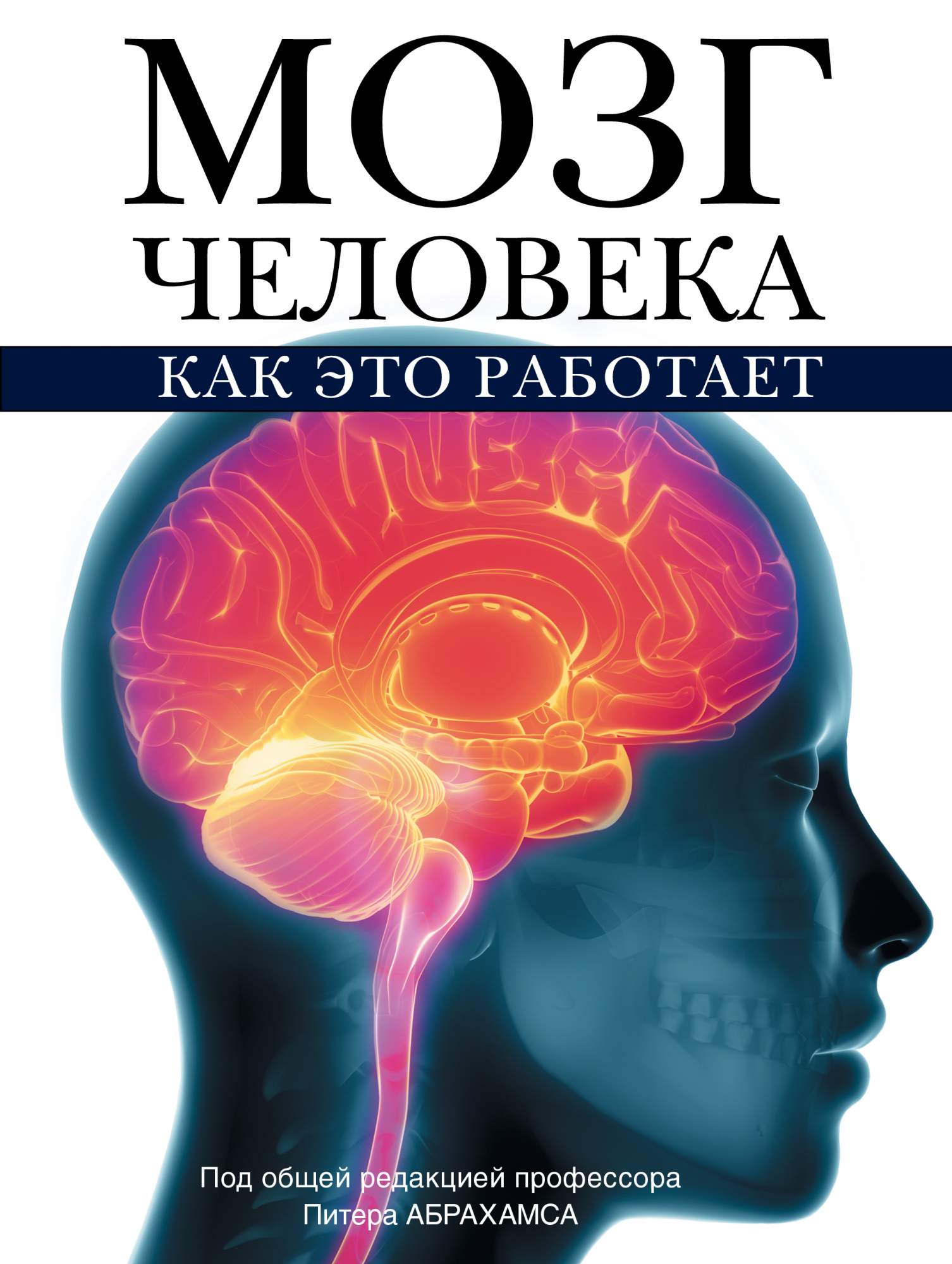 Книга Мозг человека, Как это работает - купить в Издательство АСТ Москва,  цена на Мегамаркет