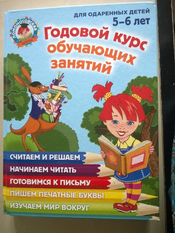 Годовой курс книга. Годовой курс обучающих занятий для детей 5-6 лет Ломоносовская школа. Годовой курс занятий для детей 5-6 лет Ломоносовская школа. Ломоносовская школа годовой курс подготовки к школе 5-6. Годовой курс развивающих занятий для детей 5 – 6 лет.