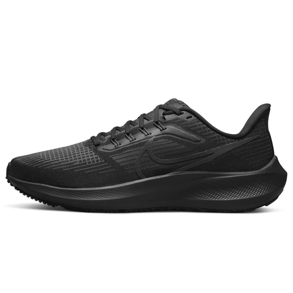 Pegasus 2025 nike mens