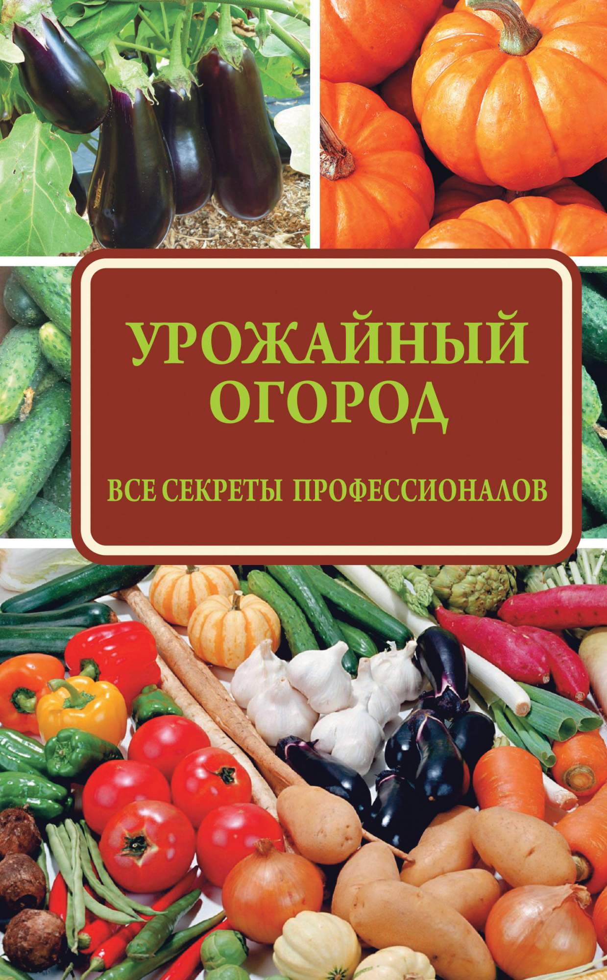 Урожайный огород. Урожайные грядки. Плодоносный огород. Урожайный огород магазин 7 семян.