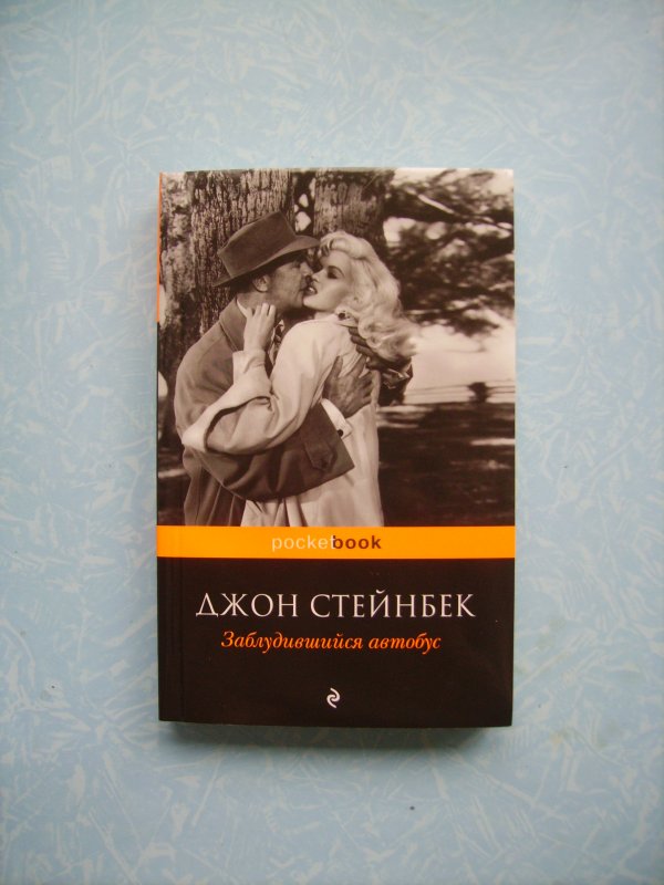 Заблудившийся автобус джон стейнбек. Джон Стейнбек «заблудившийся автобус» эксклюзивная классика. Заблудившийся автобус Джон Стейнбек книга. Заблудившийся автобус обложка книги.