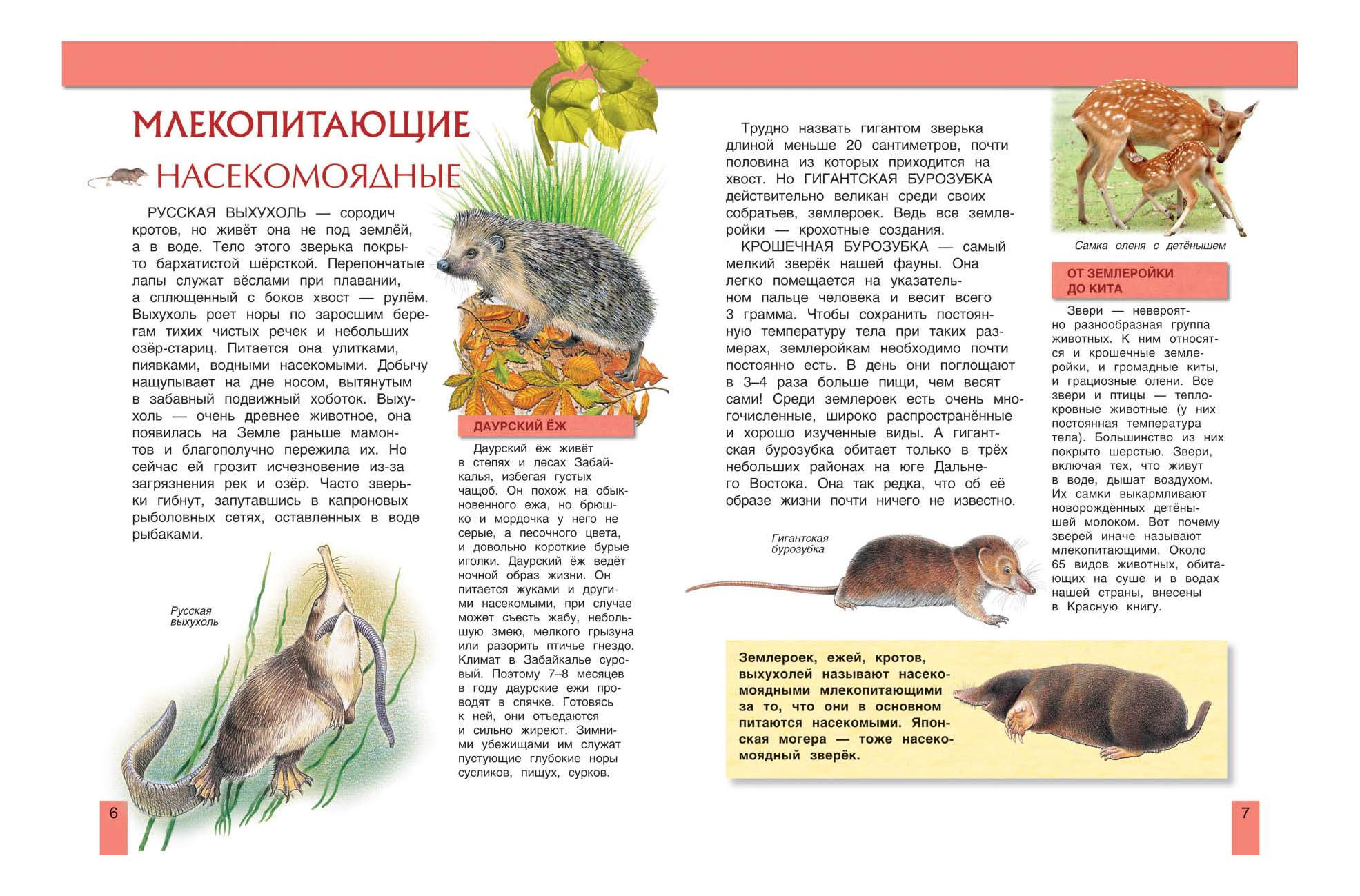 Красная книга pdf