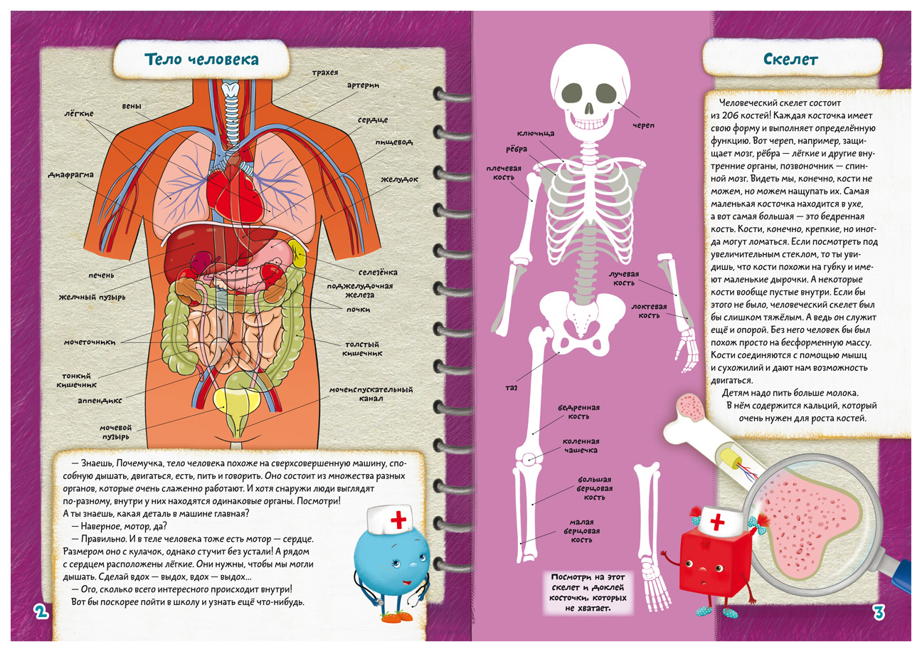 Школа почемучки. Тело – купить в Москве, цены в интернет-магазинах на  Мегамаркет