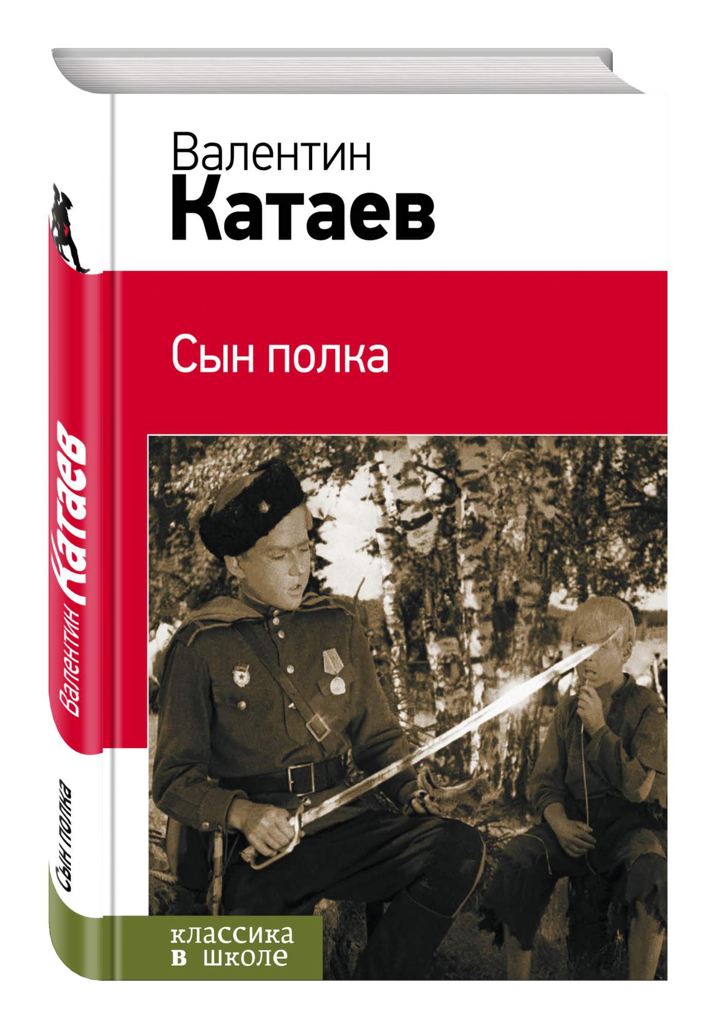 Книга Катаева сын полка