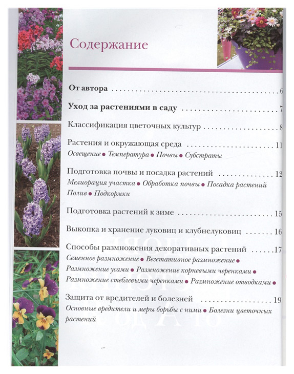 Энциклопедия Садовых Цветов – купить в интернет-магазине OZON по низкой цене