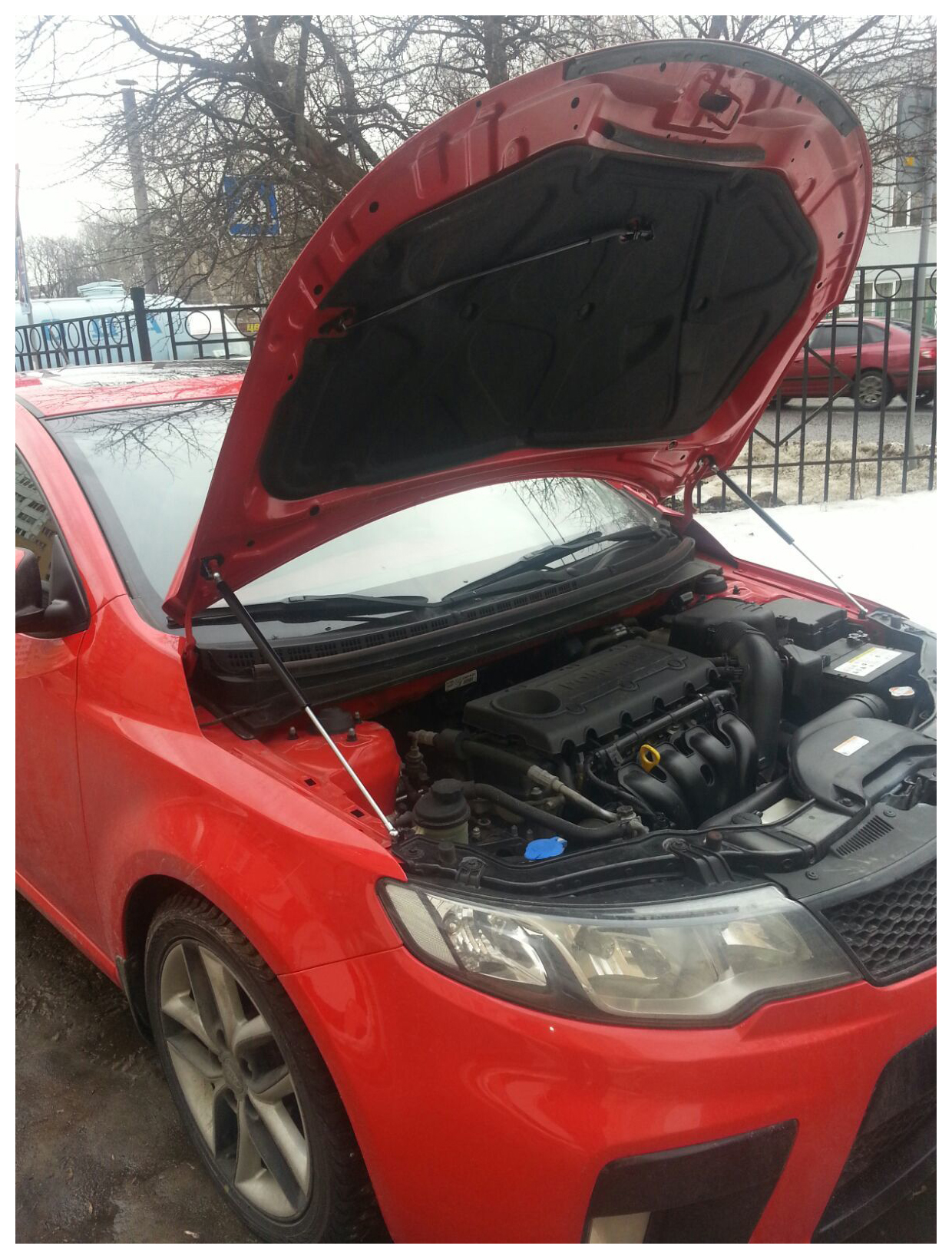 Купить Амортизаторы Капота На Киа