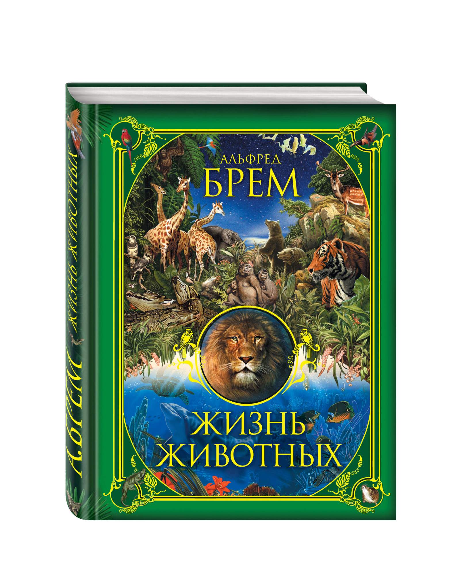 Как выглядит жизнь животных Жизнь Животных - купить в Москве, цены в интернет-магазинах на Мегамаркет