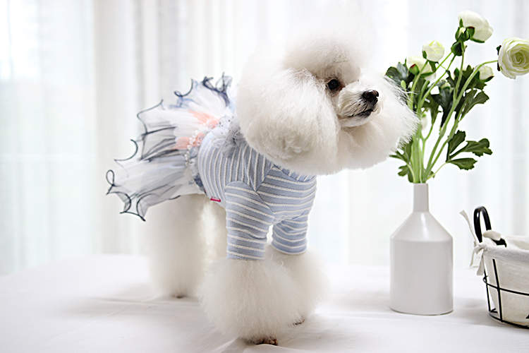 Платье для собак и кошек Nicovaer с цветком, голубое, L
