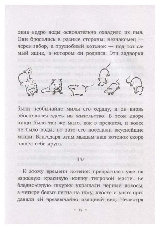 Сетон томпсон джек боевой конек. Джек боевой конек книга. Сетон-томпсон рассказы о животных иллюстрации. Сетон томпсон джек боевой конек. Сетон томпсон джек боевой конек.
