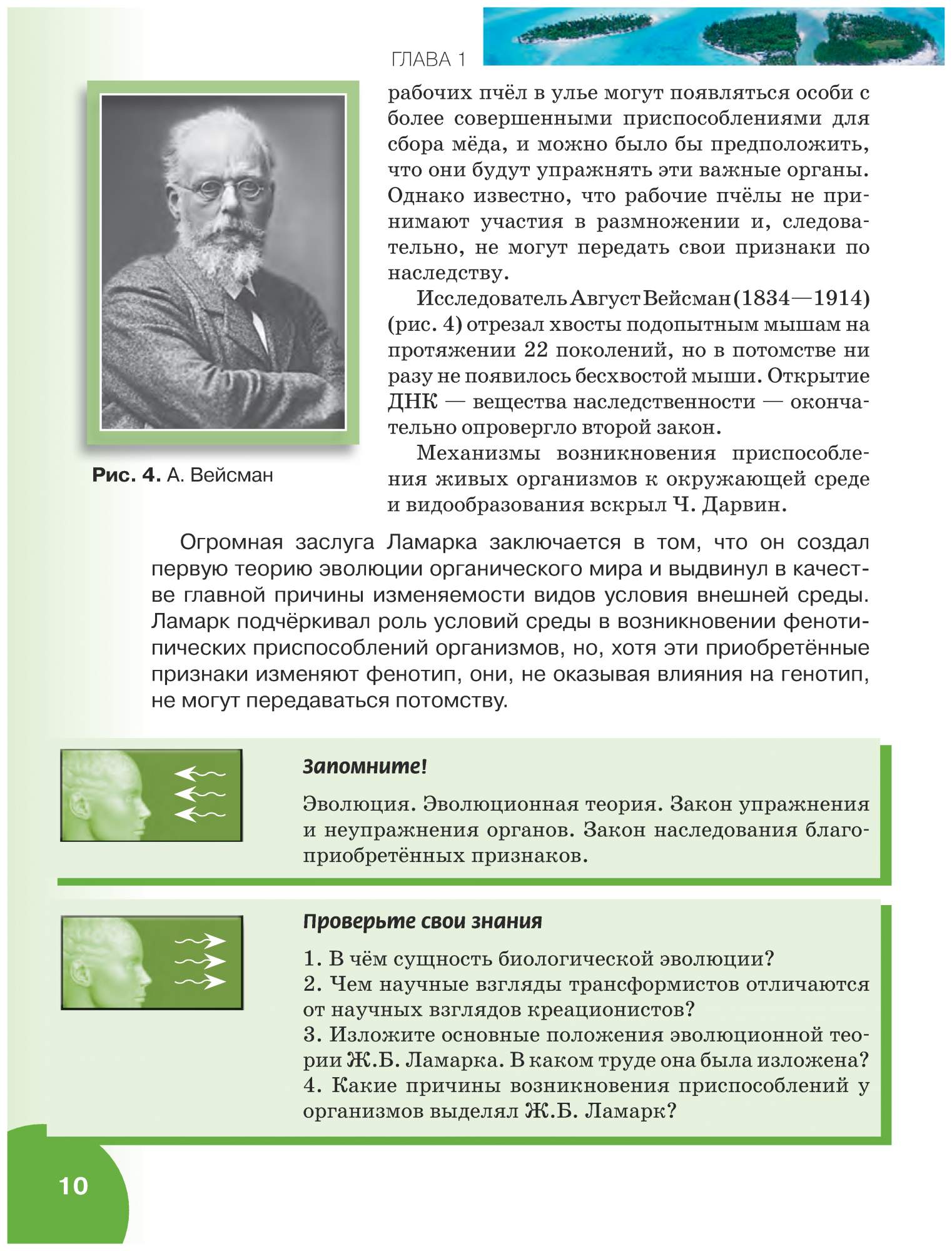 Учебник Биология 11 класс Базовый Уровень - купить учебника 1 класс в  интернет-магазинах, цены на Мегамаркет | 6513835