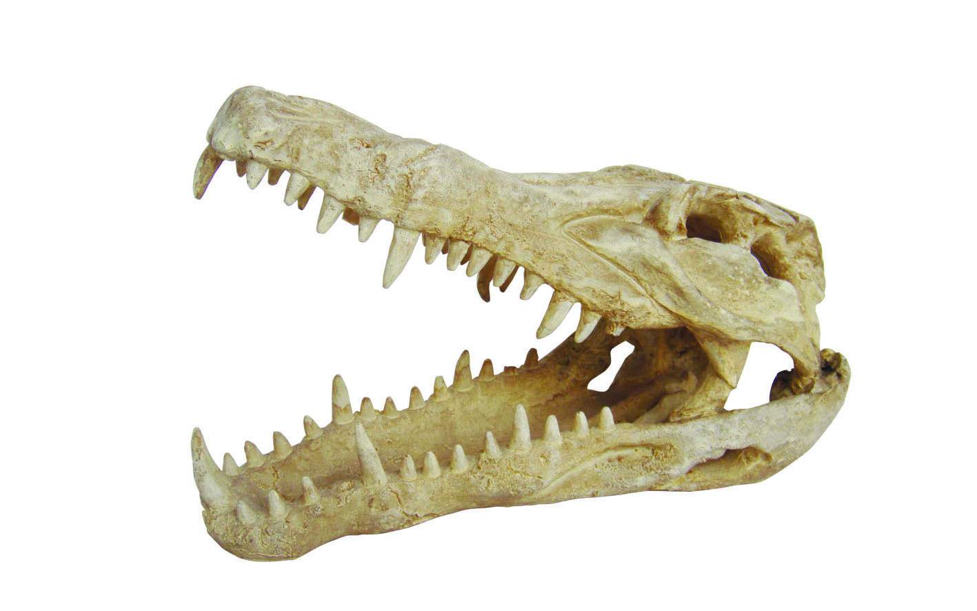Декорация для террариума Lucky Reptile Skull Krokodil, пластик, 25х11,2х15,2 см