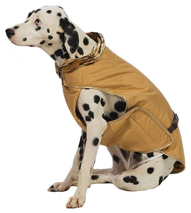 Попона для собак ТУЗИК размер XXL унисекс, коричневый, длина спины 45 см