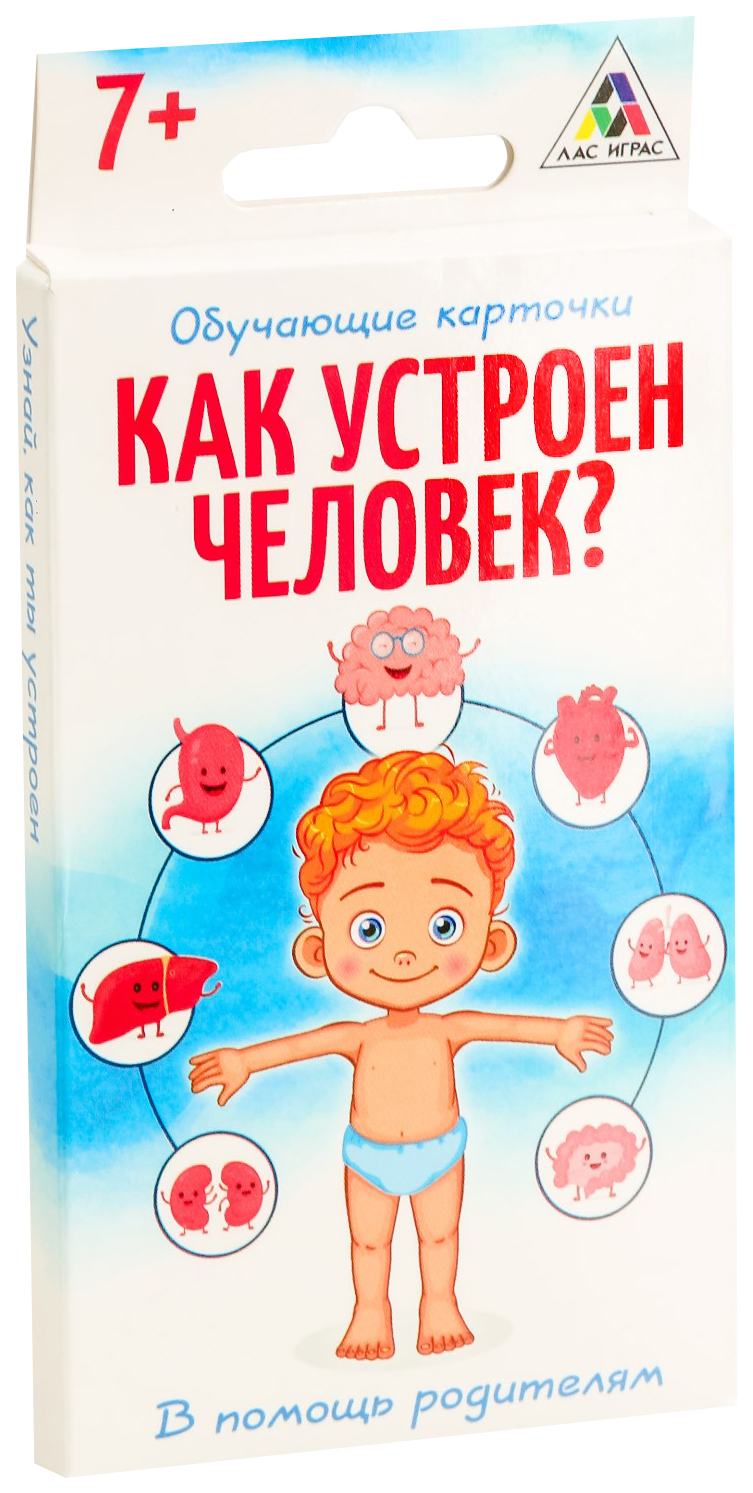 Игра развивающая Как устроен человек ЛАС ИГРАС – купить в Москве, цены в  интернет-магазинах на Мегамаркет