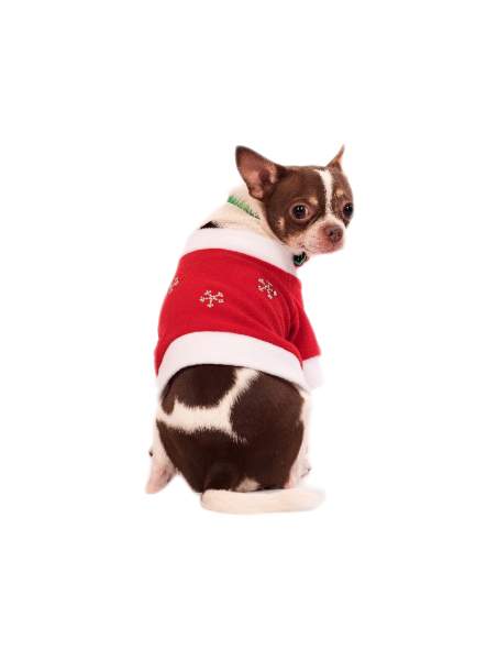 Пуловер для собак Yoriki Дед Мороз длина спины 21см