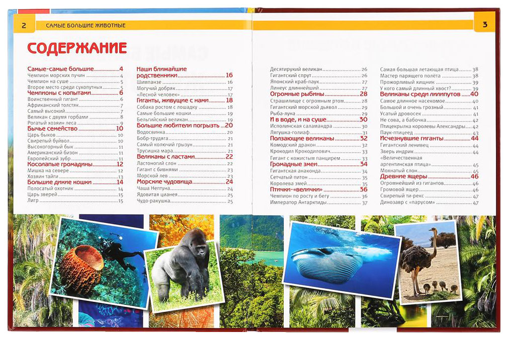 самые большие животные книжки. большая книга. большая книга самые большие животные. самая большая книга про животных. самые яркие животные мира книга.