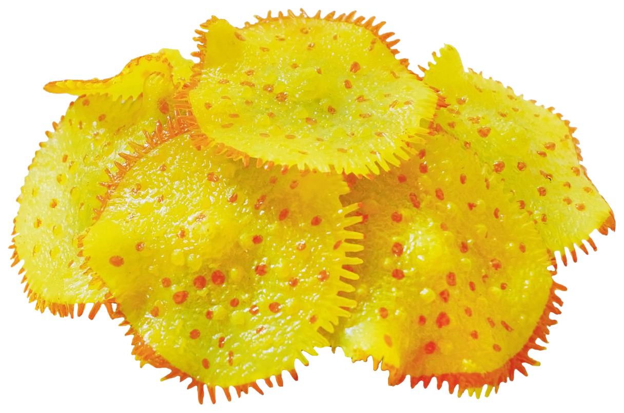 Искусственный коралл JELLY-FISH Актиния светящийся, желтый, 10х10х8 см