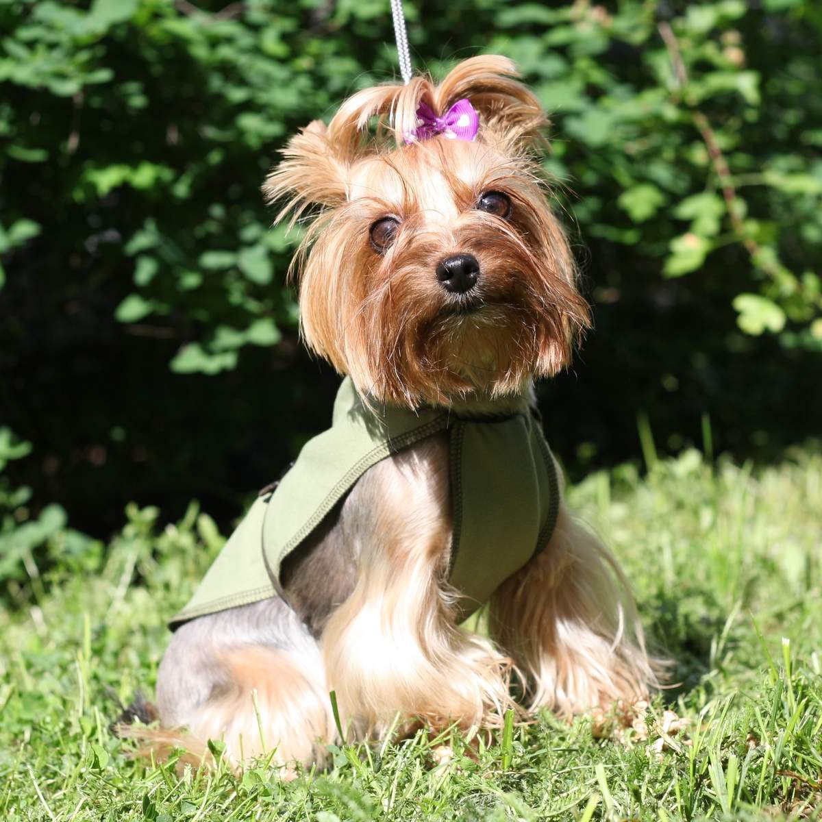Попона для собак OSSO Fashion размер 4XL унисекс, зеленый, длина спины 60 см