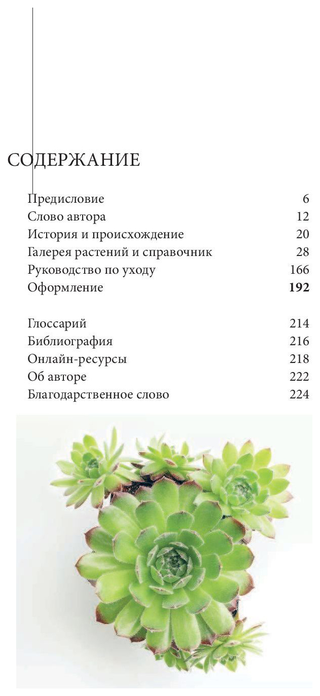 Колючка: как Создать Зеленый Оазис У Себя Дома, Удивительные кактусы и  Суккуленты – купить в Москве, цены в интернет-магазинах на Мегамаркет