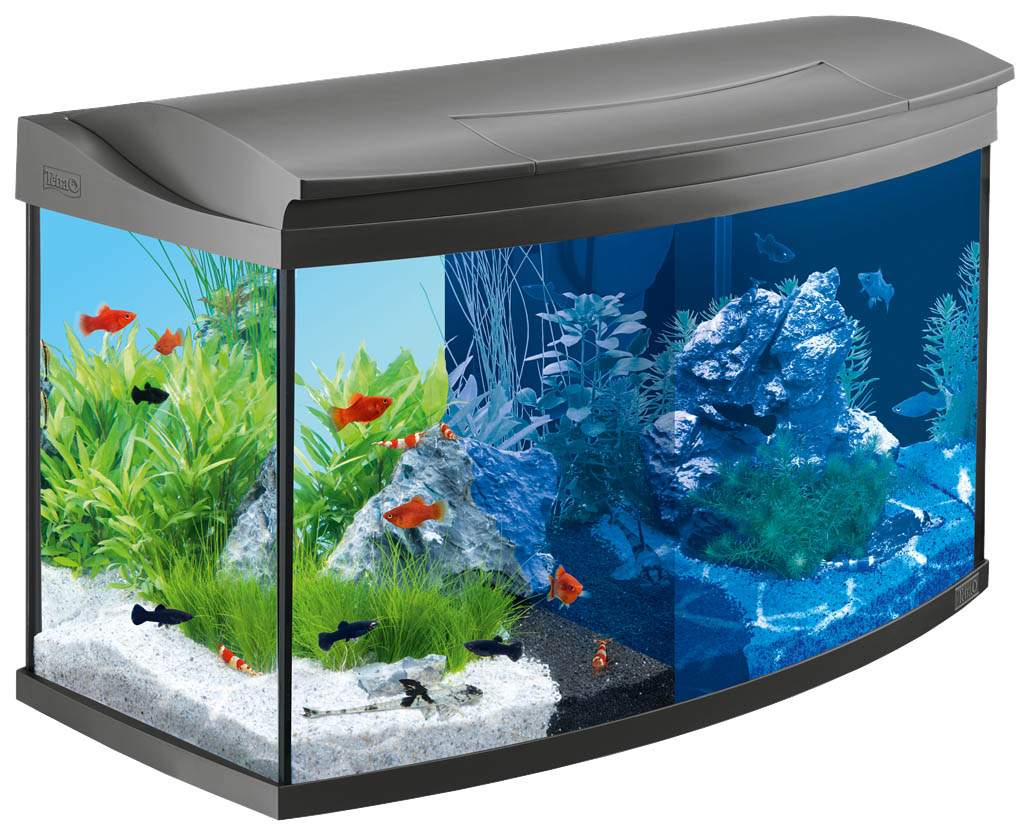 Аквариумный комплекс для рыб Tetra AquaArt LED, с изогнутым стеклом, 100 л